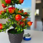 La Maison De Marcelle 4* Tropea