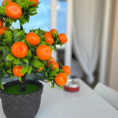 Casa de hóspedes La Maison De Marcelle Tropea