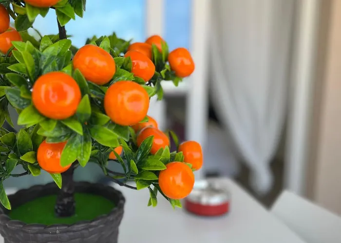 Casa de hóspedes La Maison De Marcelle Tropea