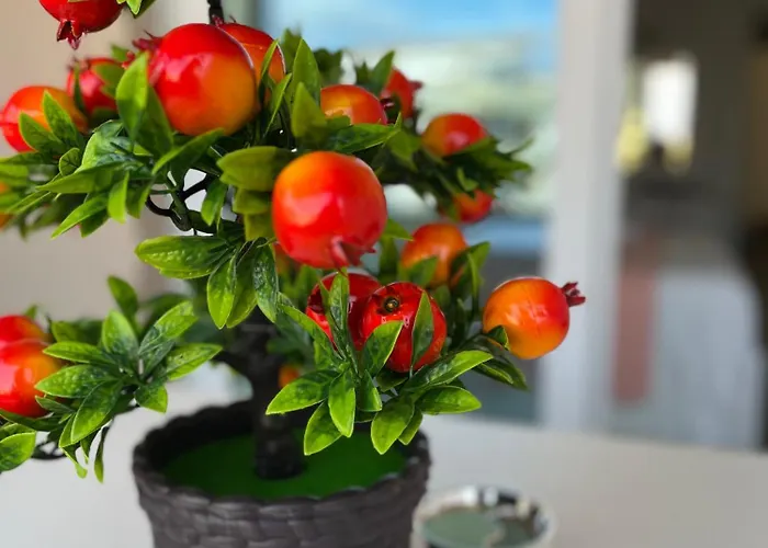 La Maison De Marcelle 4* Tropea